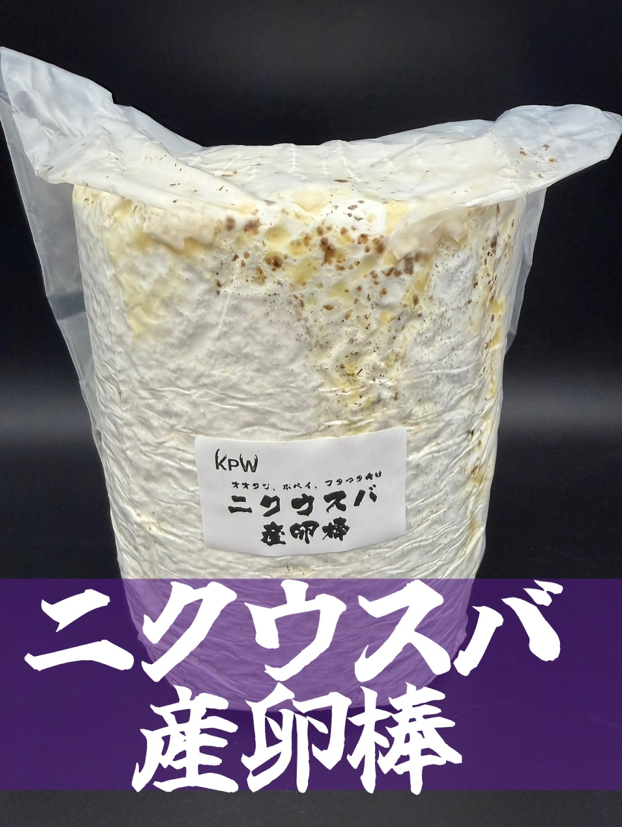 ニクウスバタケ