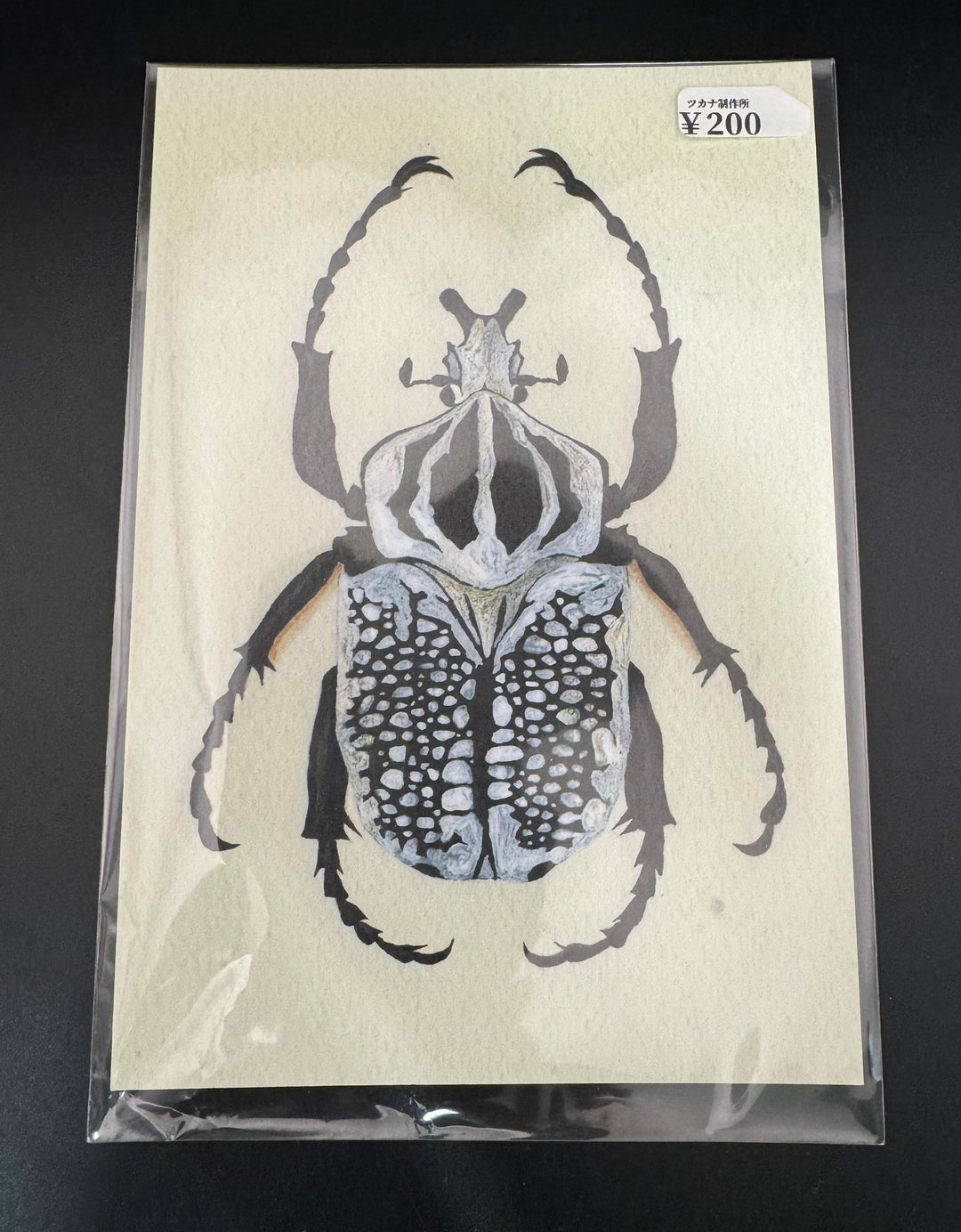 ポストカード 1枚入り（シラフオオツノハナムグリ）【※額無し】