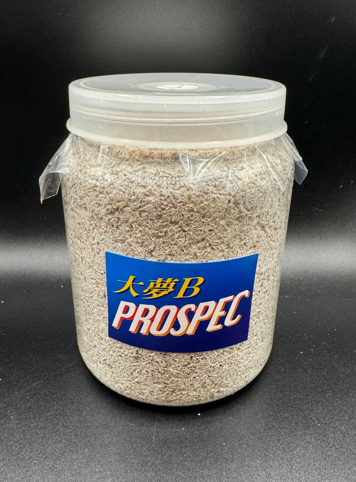 大夢Bオオヒラタケ　800cc