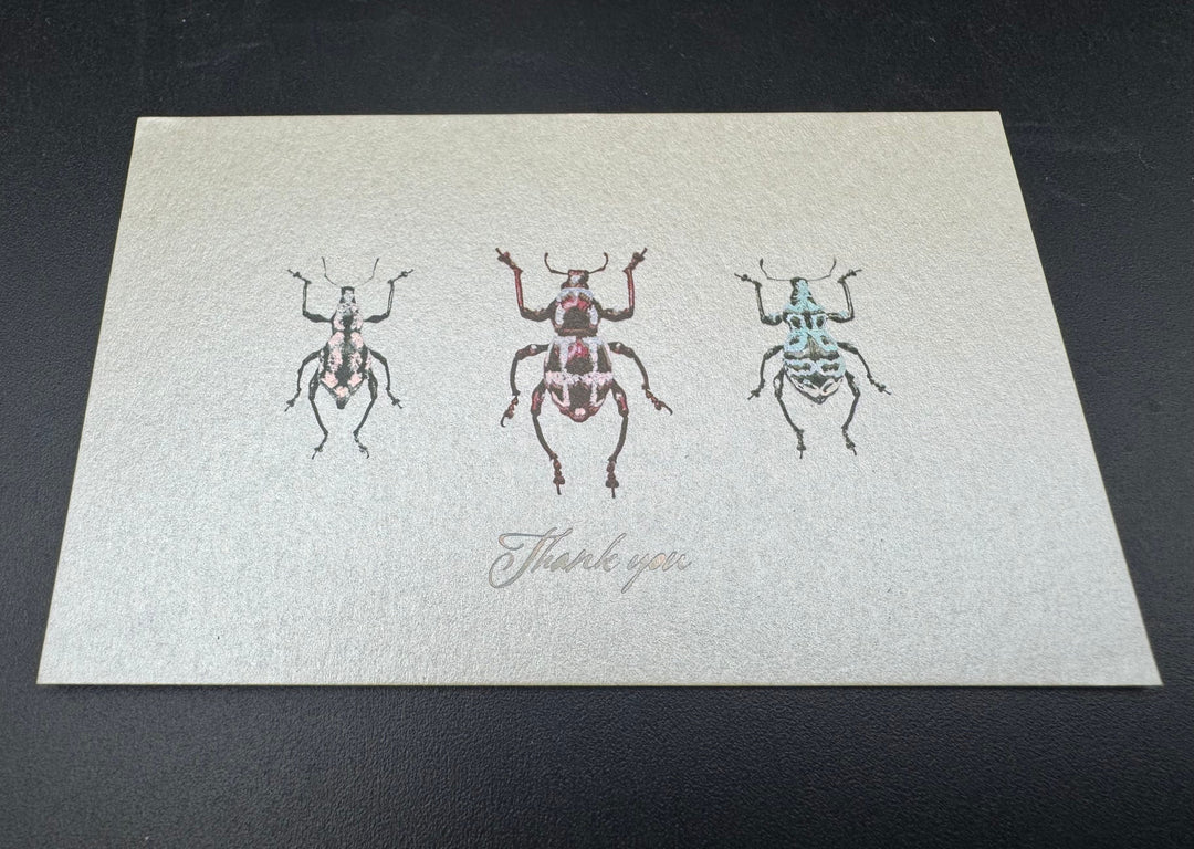 Thank you カード 5枚入り（カタゾウムシ）
