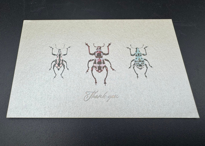 Thank you カード 5枚入り（カタゾウムシ）
