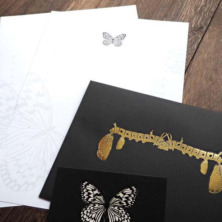 オオゴマダラのレターセット