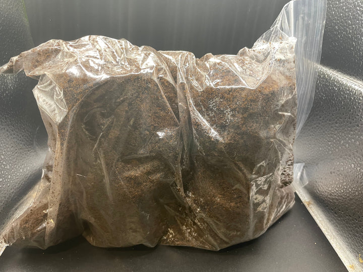 【5袋セット】【KPWオリジナル】バクテリア材 産卵木Mサイズ2本入り