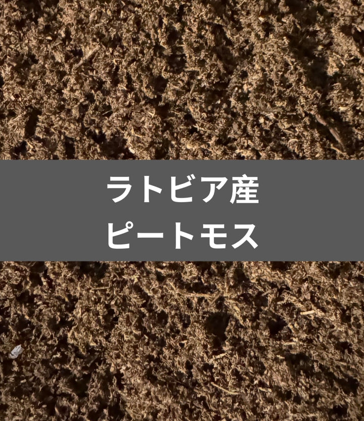 【ラトビア産】ピートモス微粒子マット 10L