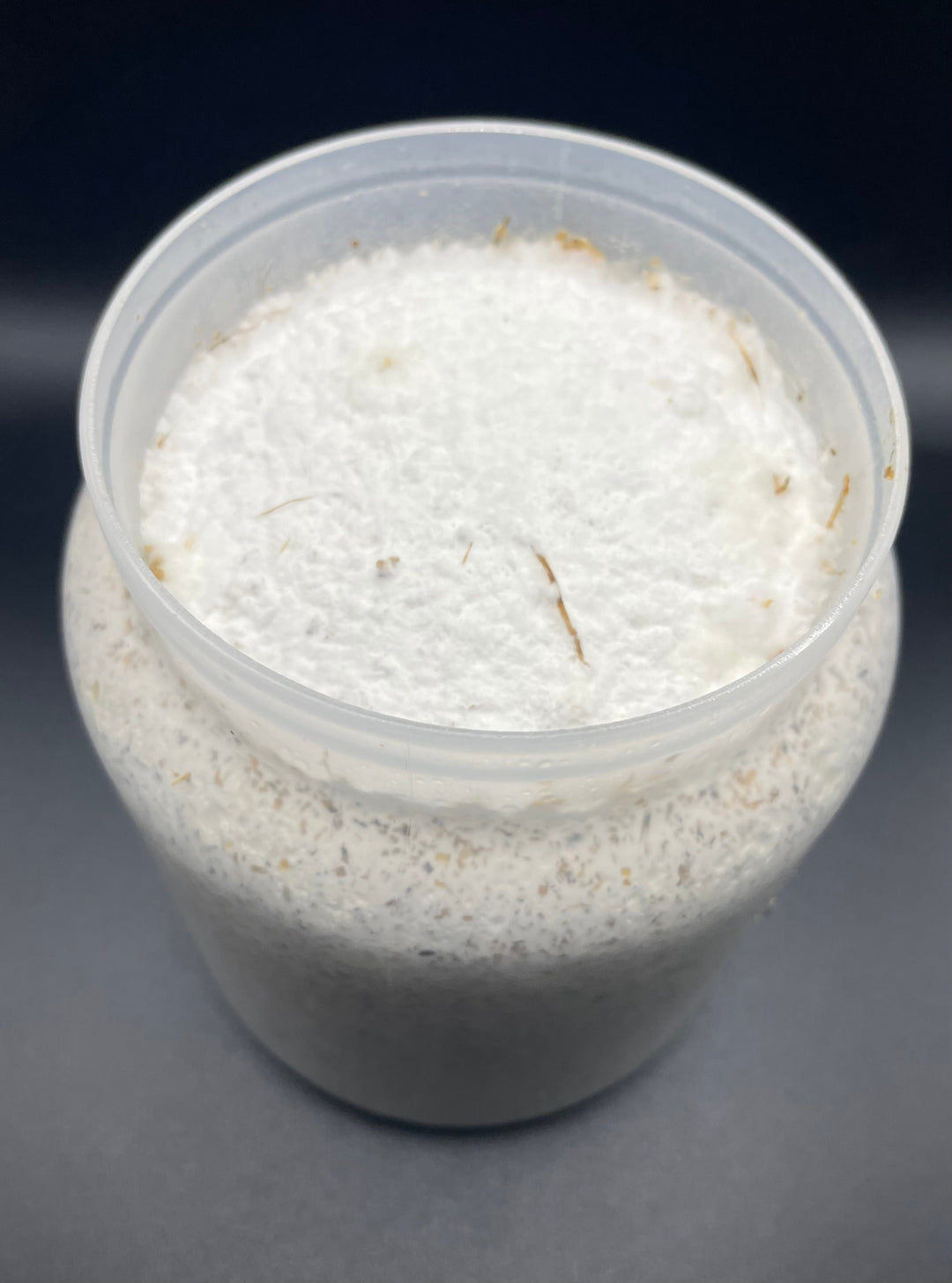 【16本セット】オオヒラタケ菌糸ボトル800cc