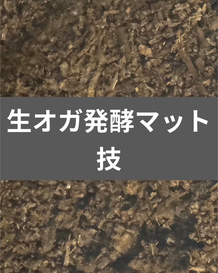 生オガ発酵マット 技 10L