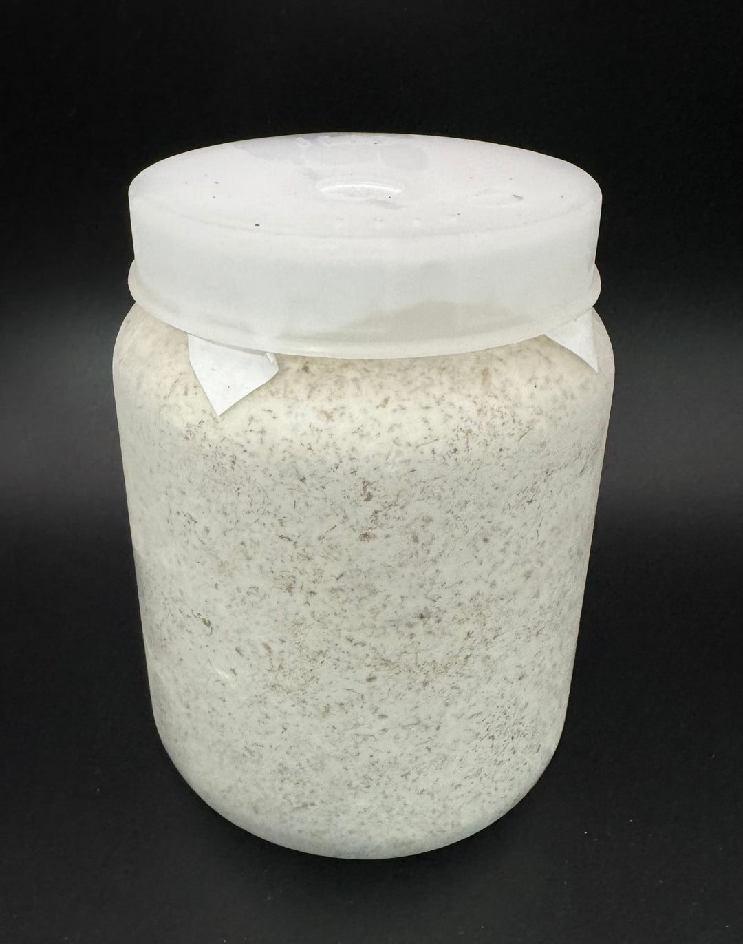 S8カンタケ 800cc