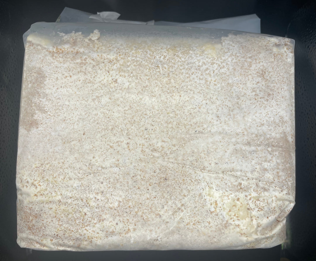 グリードSL（低添加微粒子） ブロック