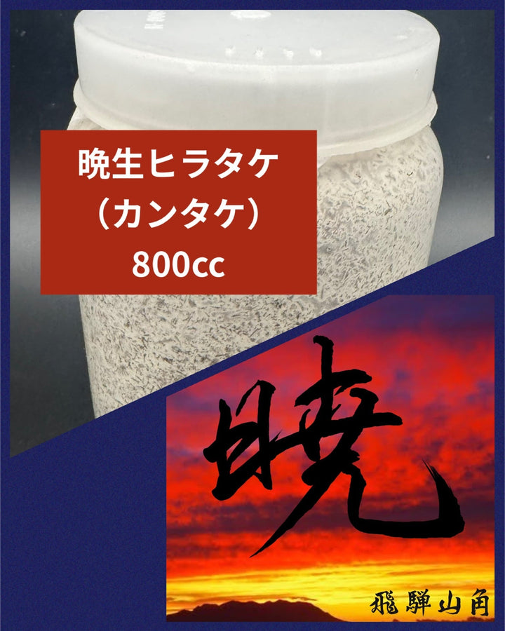 【暁】高添加カンタケ（晩生ヒラタケ）800cc