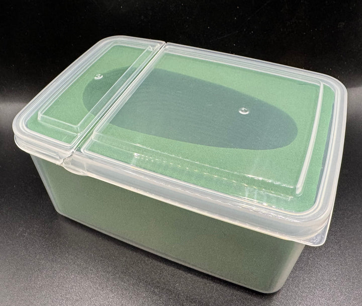 【ケース付】人工蛹室　オアシス（レギュラー）