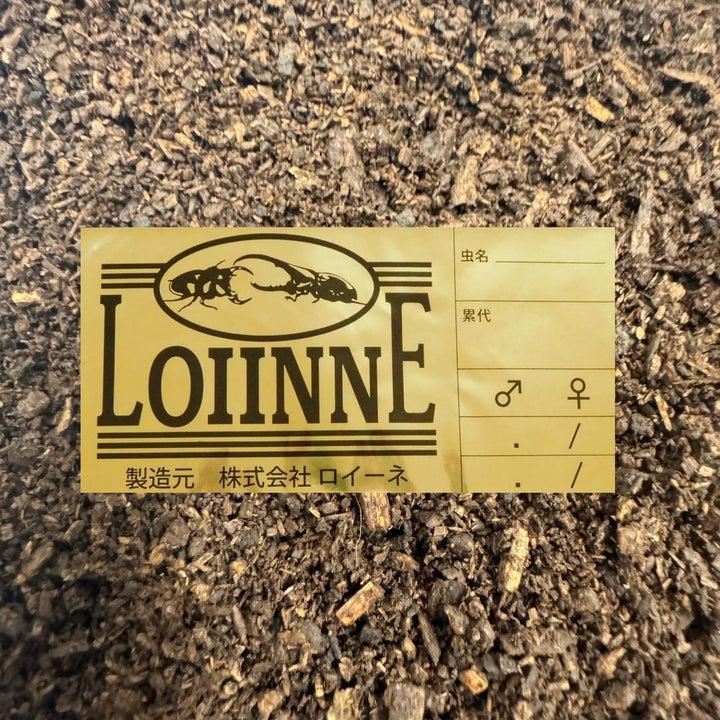 ロイーネマット 10L