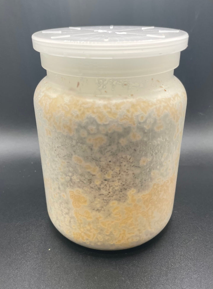 K-ZERO カワラ菌糸ボトル800cc