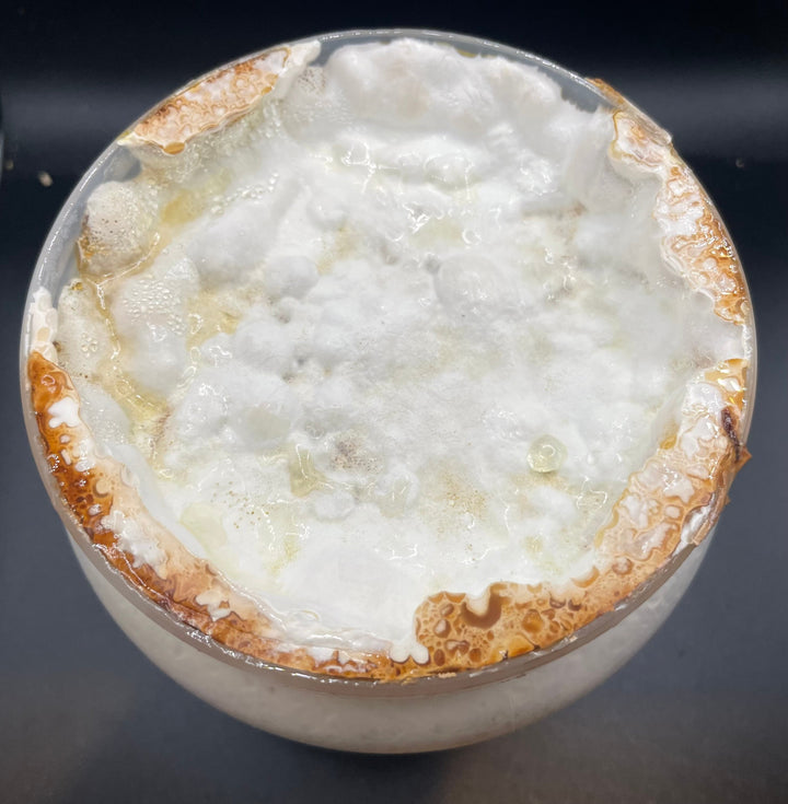 レイシ菌糸ボトル1400cc（マンネンタケ）