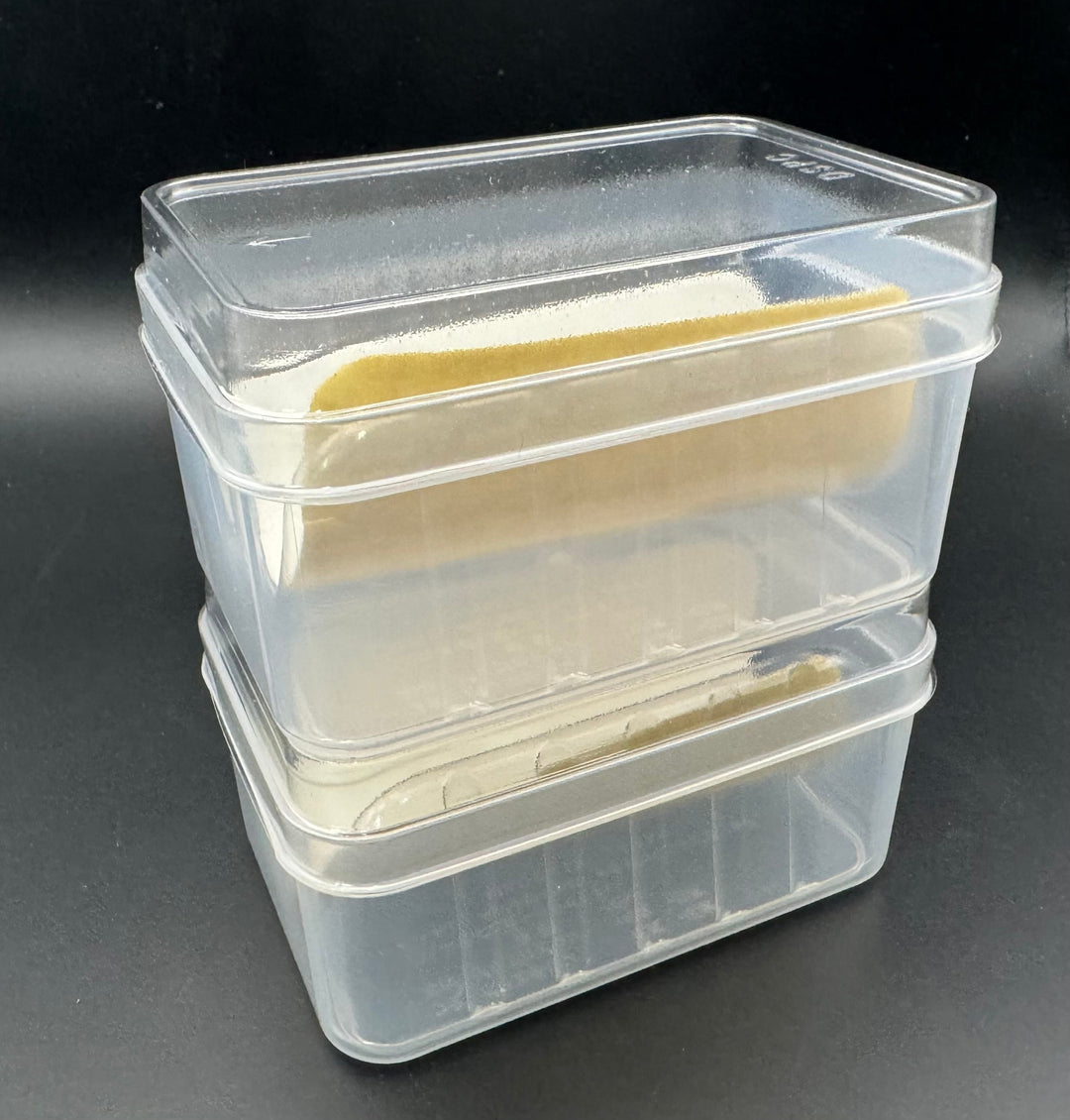 【フタのみ】人工蛹室 DSPC（透明PETタイプ）大 専用フタ