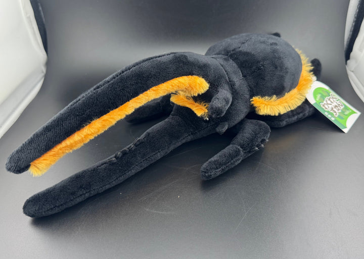 わくわく図鑑 ネプチューンオオカブトぬいぐるみ中