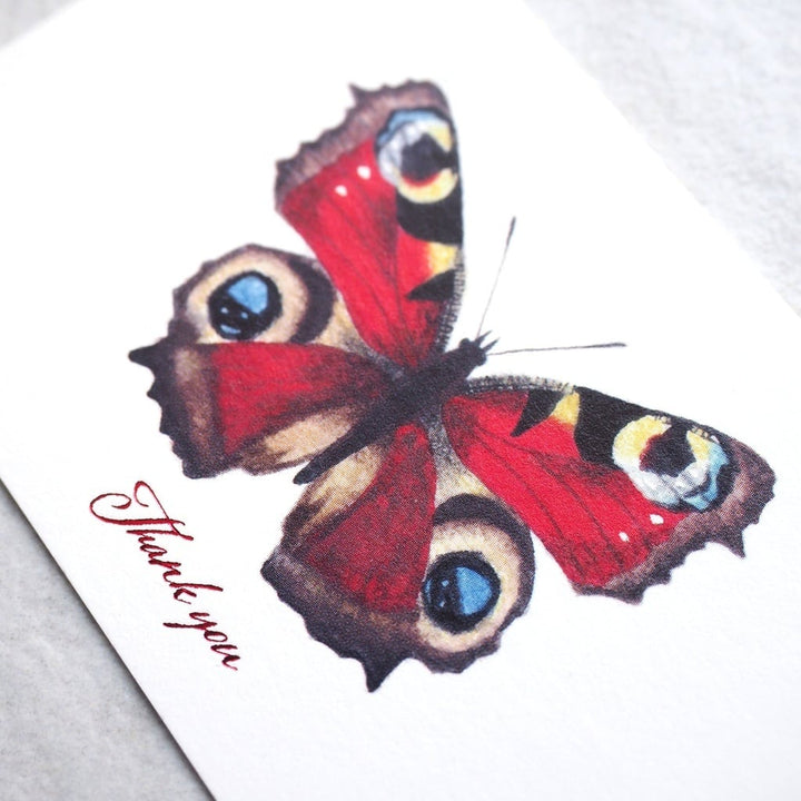 Thank you カード 5枚入り（クジャクチョウ）