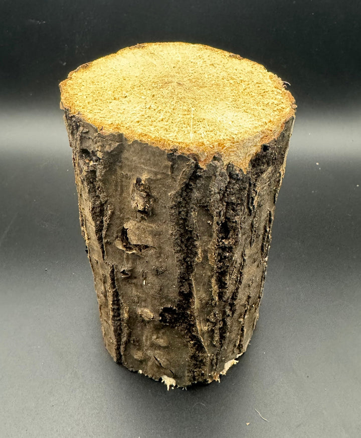 SB材 Lサイズ 1本