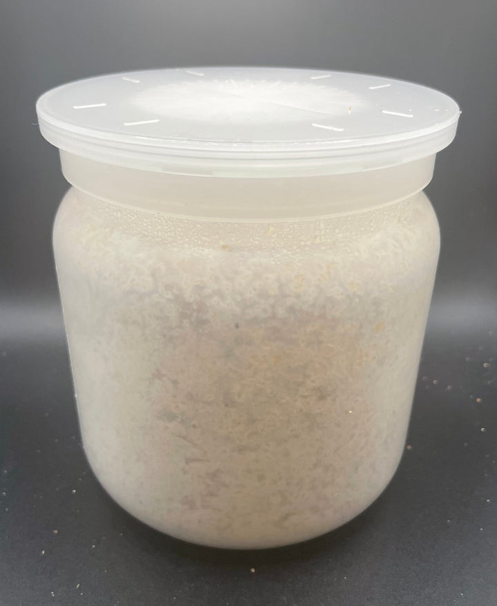 【産卵用】ニクウスバタケ菌糸ボトル1400cc