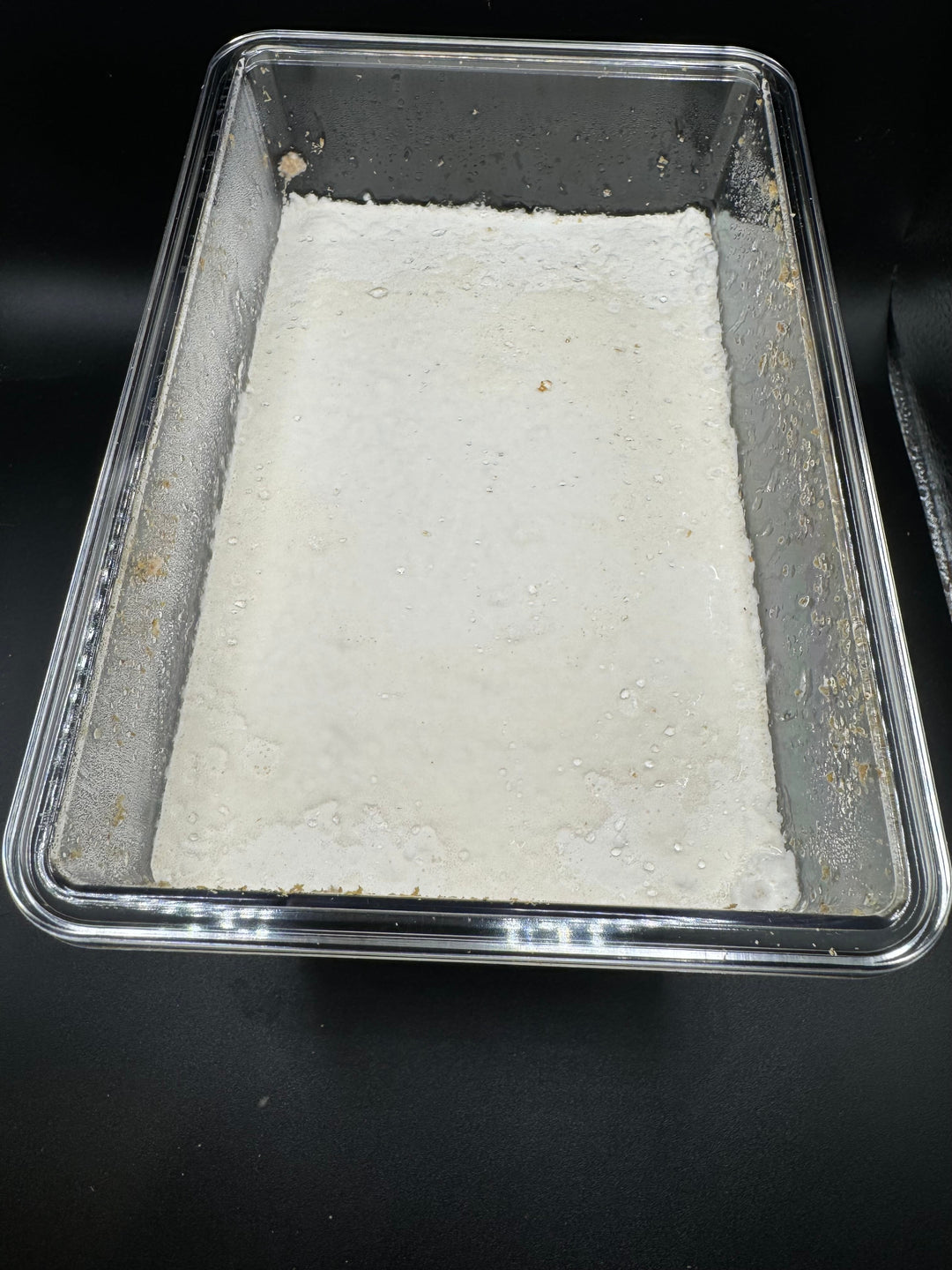 グリードSL（低添加微粒子） 産卵菌床 デジケース