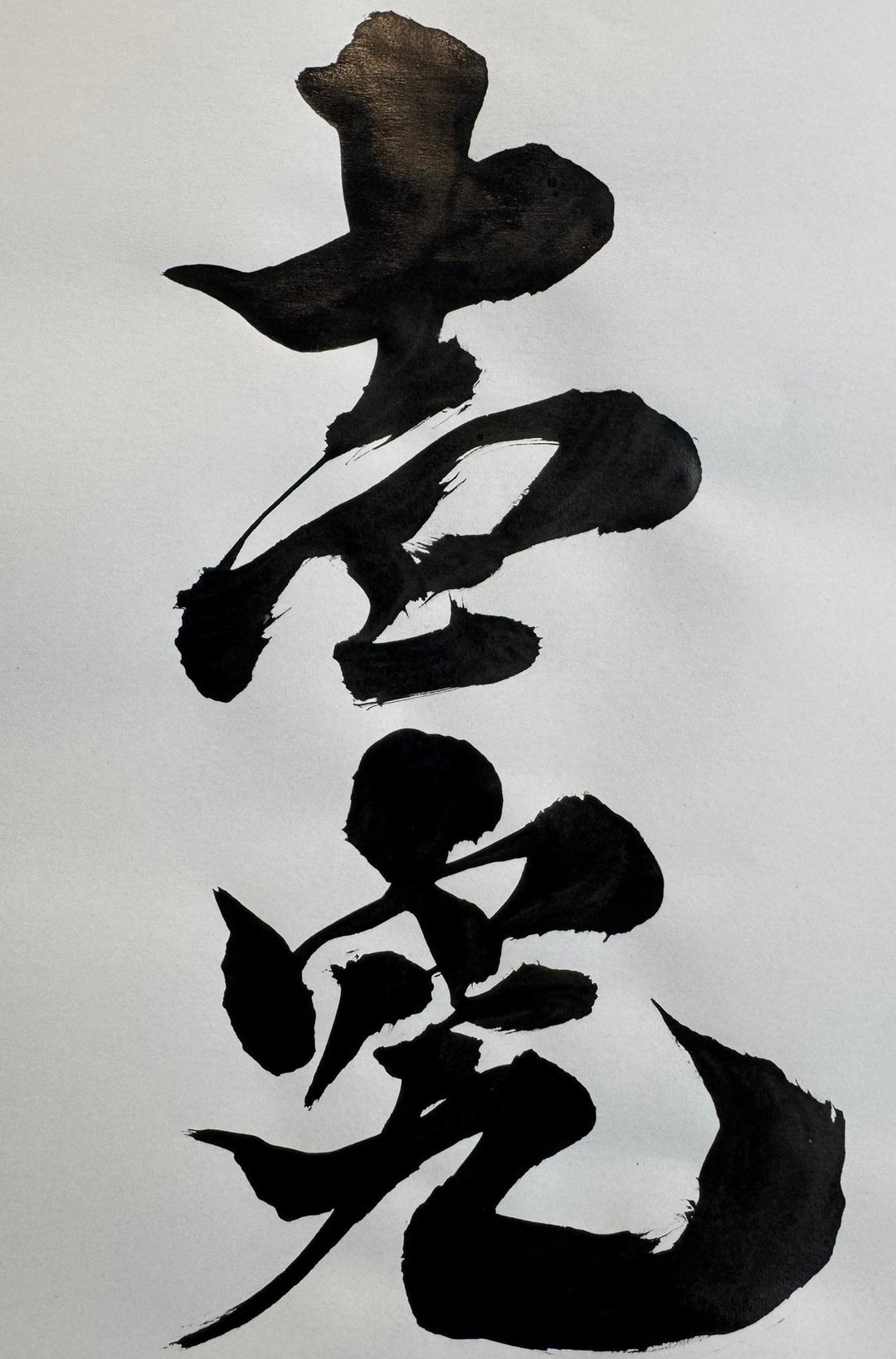 【壱究】オオヒラタケ ブロック 3500cc