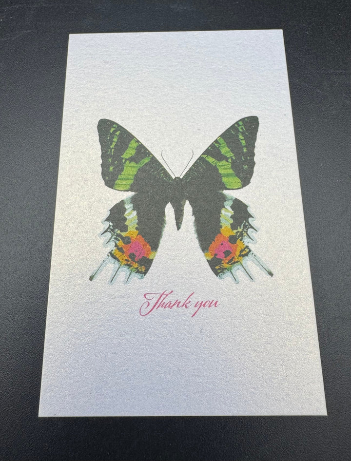 Thank you カード 5枚入り（ニシキオオツバメガ）
