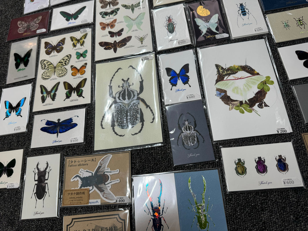 Thank you カード 5枚入り（ミヤマクワガタ）