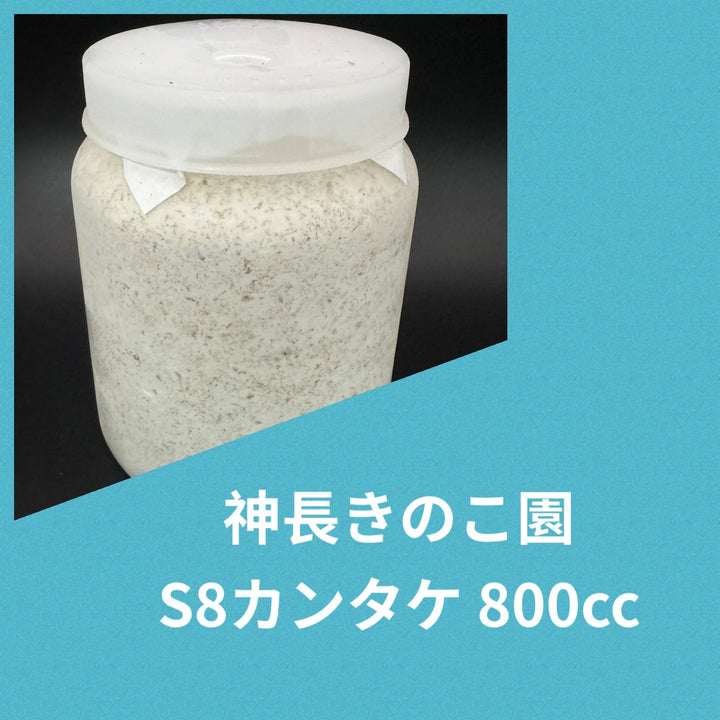 S8カンタケ 800cc