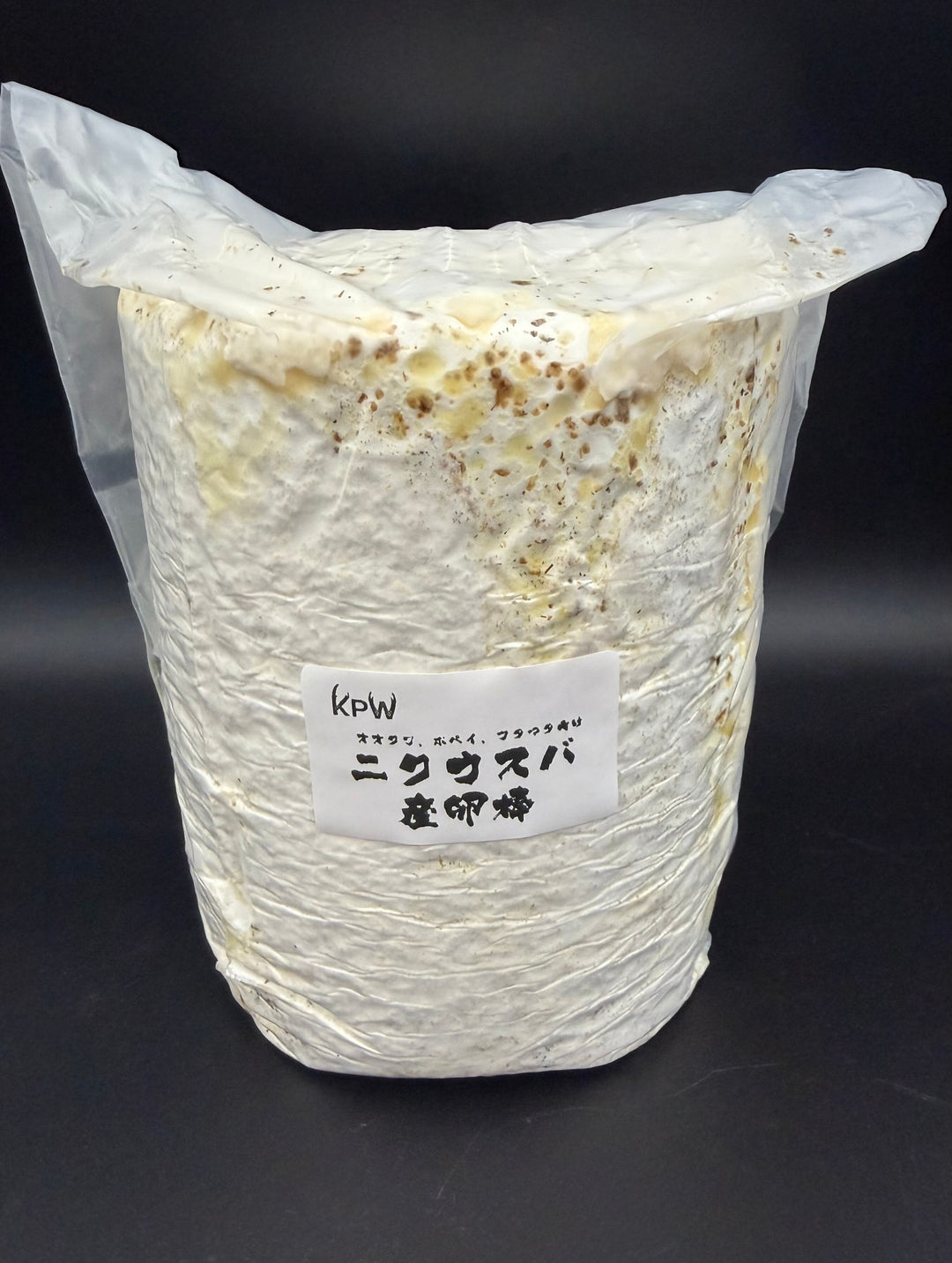 ニクウスバ産卵棒 1本入り
