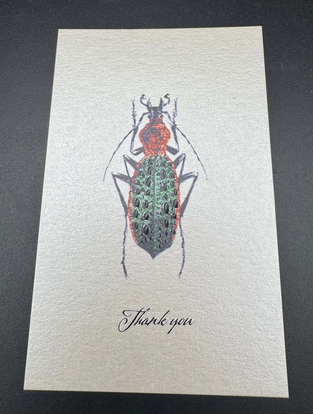 Thank you カード 5枚入り（シナカブリモドキ）