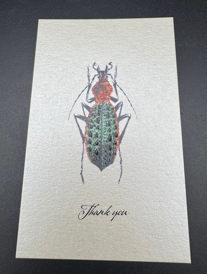 Thank you カード 5枚入り（シナカブリモドキ）