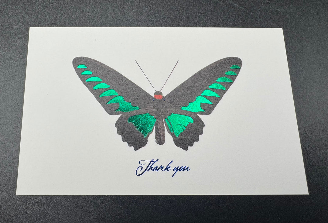 Thank you カード 5枚入り（アカエリトリバネアゲハ）