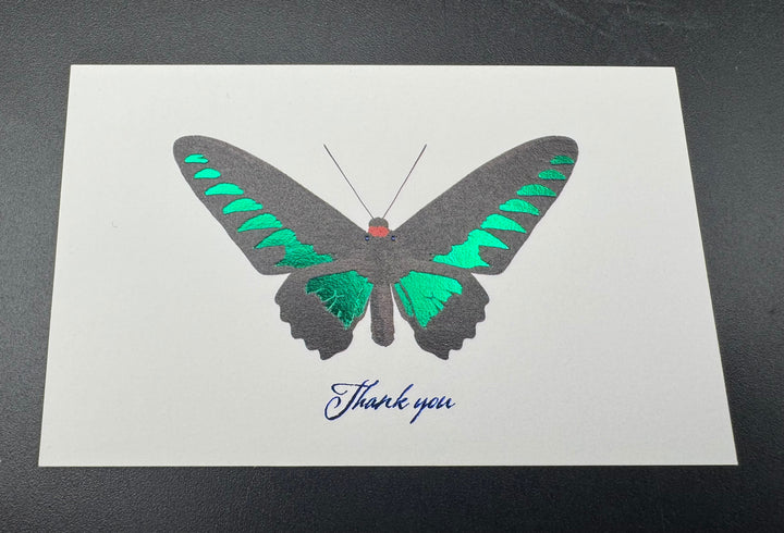 Thank you カード 5枚入り（アカエリトリバネアゲハ）