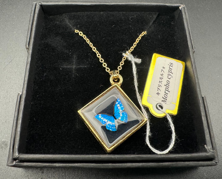 手書きネックレス（キプリスモルフォ）