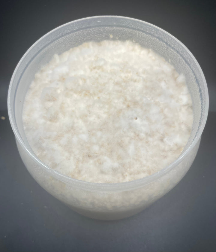 【産卵用】ニクウスバタケ菌糸ボトル1400cc