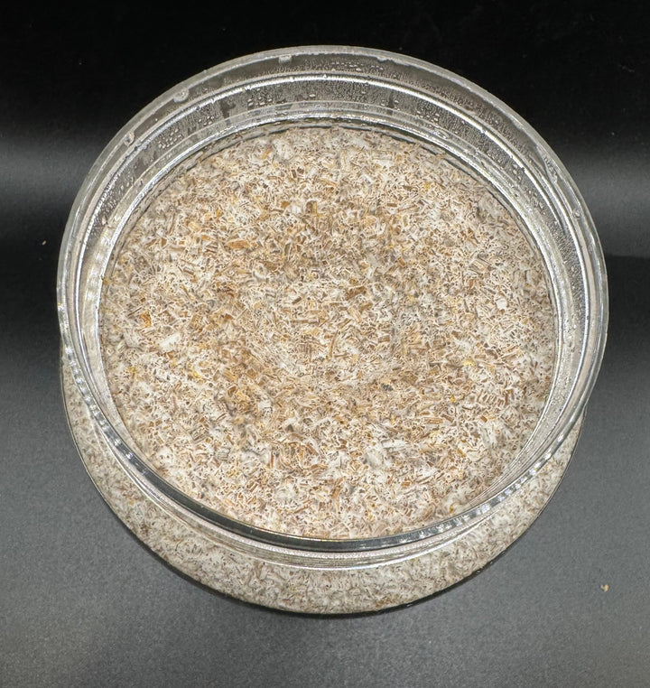 大夢Bオオヒラタケ　800cc