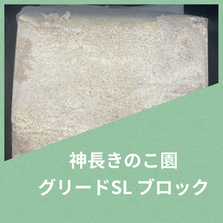 グリードSL（低添加微粒子） ブロック