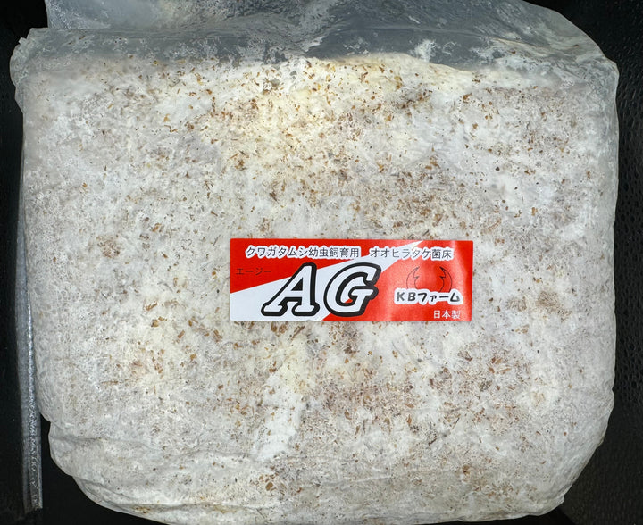 【5袋セット】AG ブロック（オオヒラタケ）