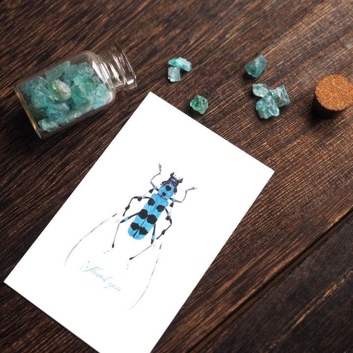 Thank you カード 5枚入り（ルリボシカミキリ）