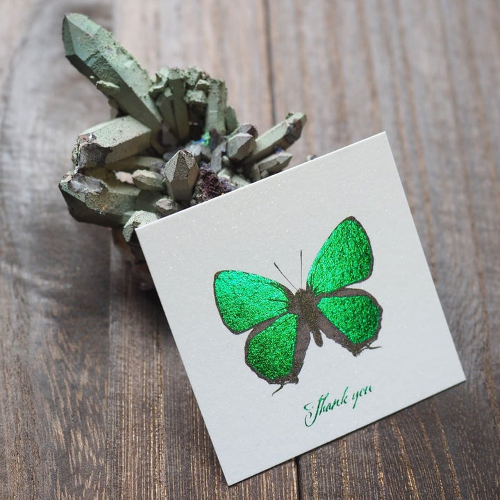 Thank you カード 5枚入り（キリシマミドリシジミ）