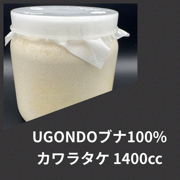 カワラタケ菌糸UGONDO ブナ100% ボトル1400cc