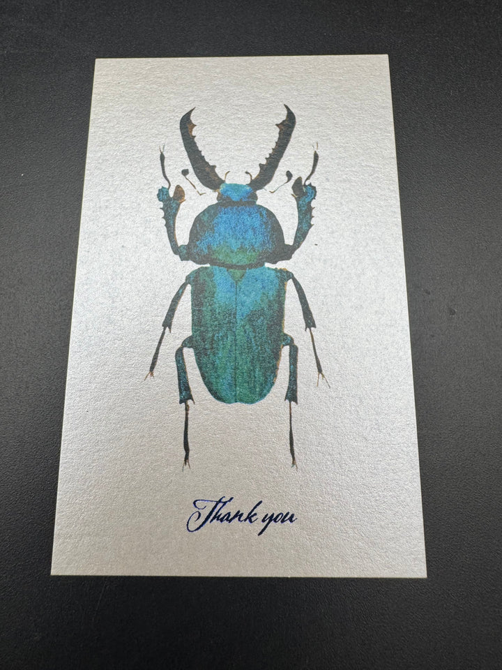 Thank you カード 5枚入り（パプアキンイロクワガタ）