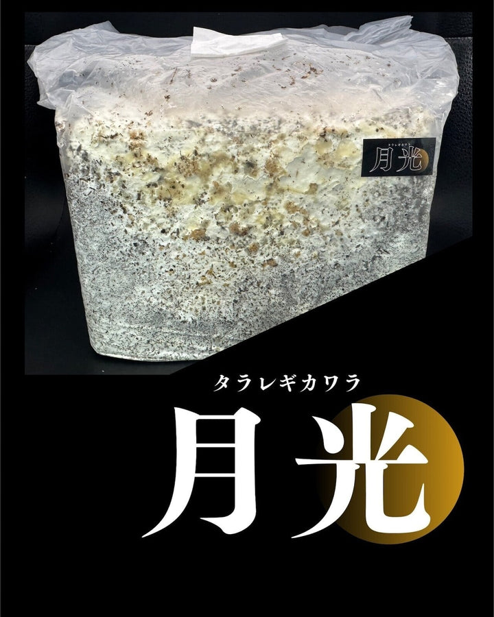 送料無料!!【10袋セット】【月光】カワラ ブロック 3500cc