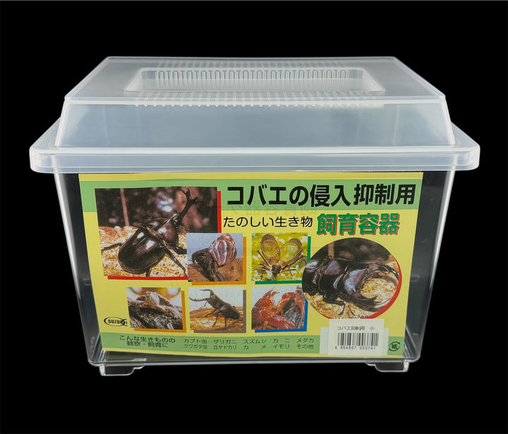 コバエ侵入防止用飼育容器 小ケース