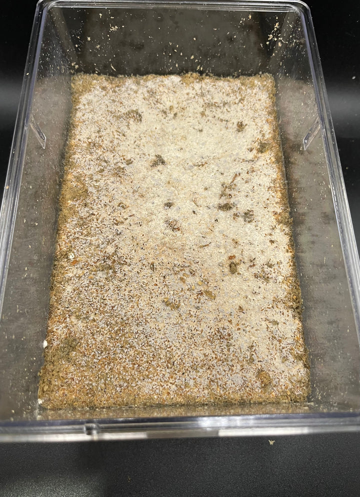 グリードSL（低添加微粒子） 産卵菌床 クリスラ