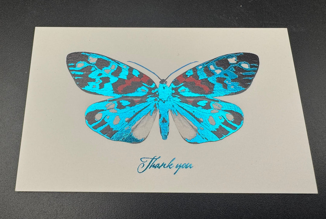 Thank you カード 5枚入り（サツマニシキ）