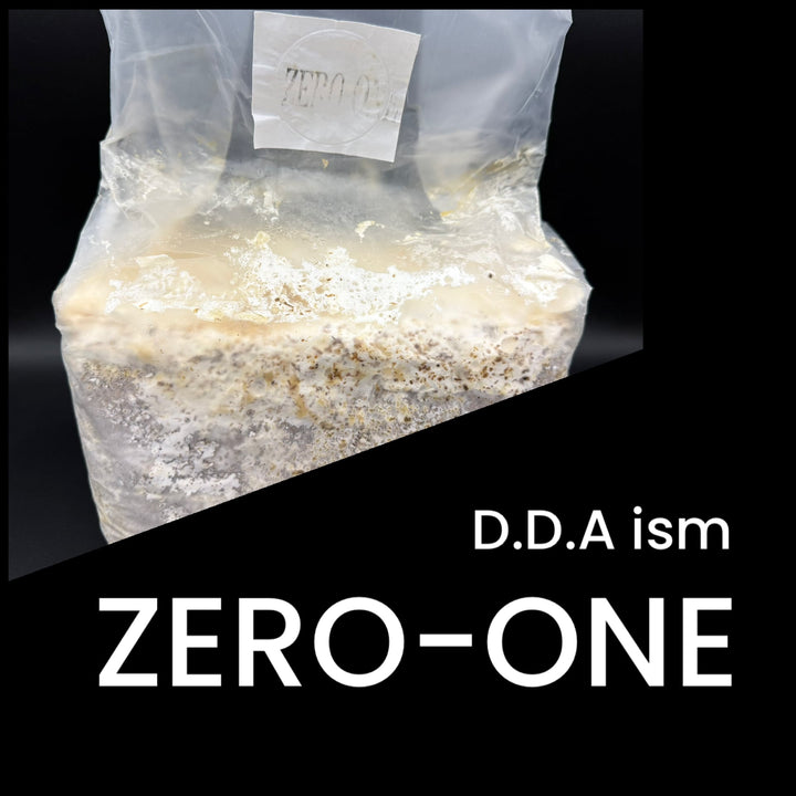 【5袋セット】ZERO-ONE ブロック 3500cc