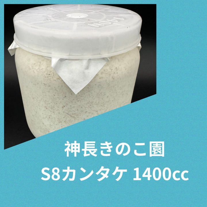 S8カンタケ 1400cc