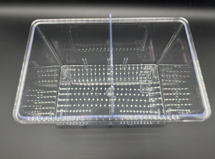 コバエさよなら飼育ケース 中サイズ 【デジケース】