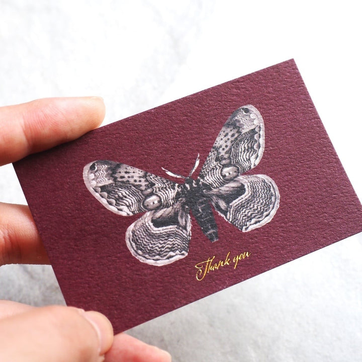 Thank you カード 5枚入り（イボタガ）