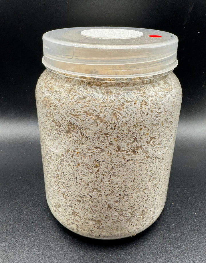 G-ZERO 菌糸ボトル 800cc